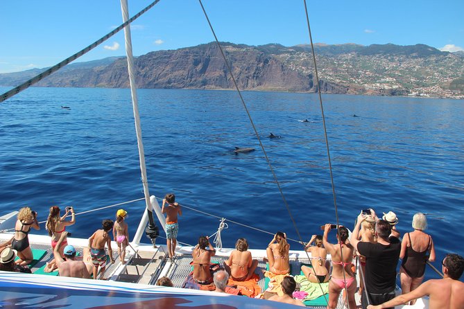 Catamaran Sunset Cruise from Funchal - The swim stop is brief but memorable