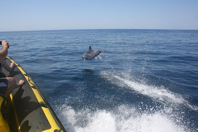 Caves and Dolphin Watching Cruise from Albufeira - Praia da Coelhinha and the changing coastline