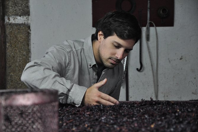 Classic Wine Tasting with GUIDED TOUR - Inside Quinta do Beijo’s centennial cellars