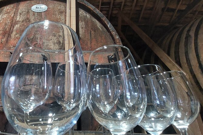 Classic Wine Tasting with GUIDED TOUR - Why an owner-led tour can make a difference