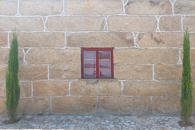 Classic Wine Tasting with GUIDED TOUR - The Port cellar and two fortified wines