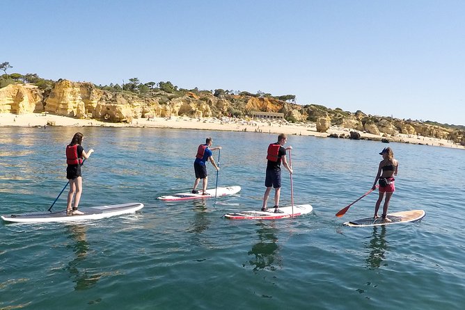 Cliffs & Caves Stand Up Paddle Adventure - Small details that can make the morning better