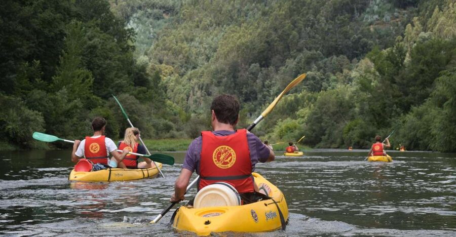 Coimbra: Mondego River Kayaking Tour - What happens from Coimbra to the water