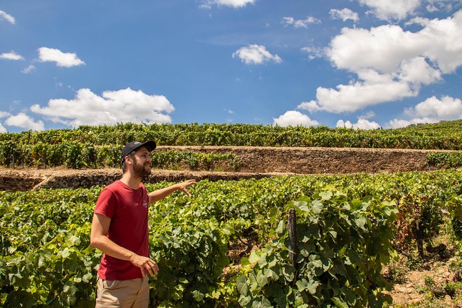 Complete Douro Valley Wine Tour with Lunch, Wine Tastings and River Cruise - Key points to know before booking