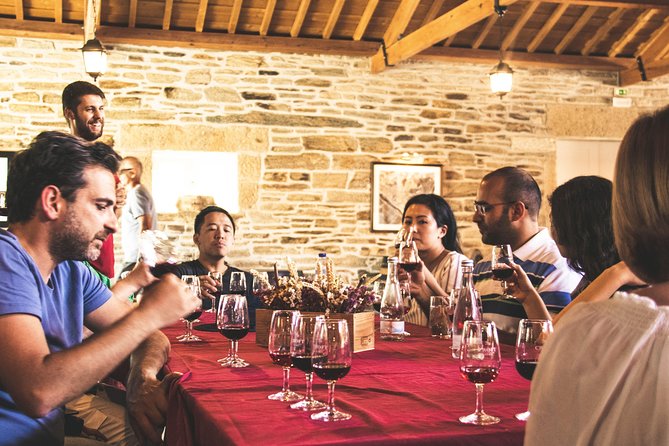 Complete Douro Valley Wine Tour with Lunch, Wine Tastings and River Cruise - Arriving in the Douro Valley