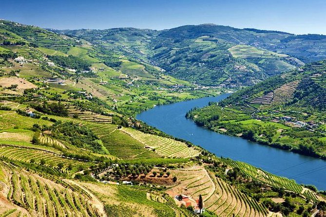 Complete Douro Valley Wine Tour with Lunch, Wine Tastings and River Cruise - Transport, pickup, and the real length of the day