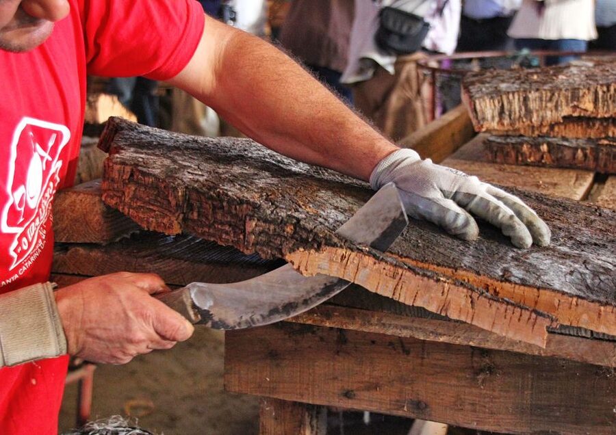 Cork Factory Tour - Key points to know before you go