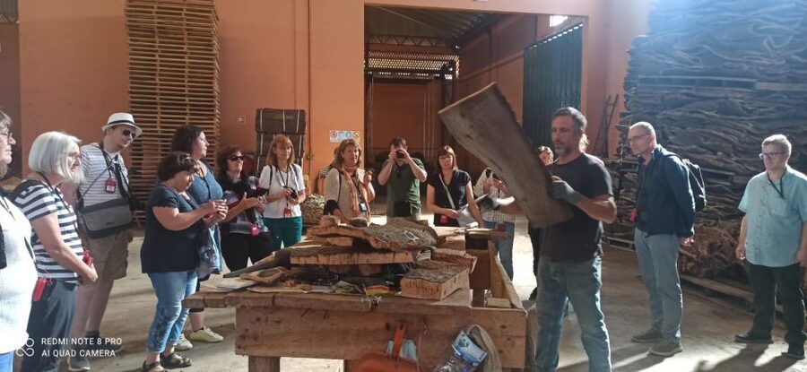 Cork Factory Tour - Why this small factory tells a big Portuguese story