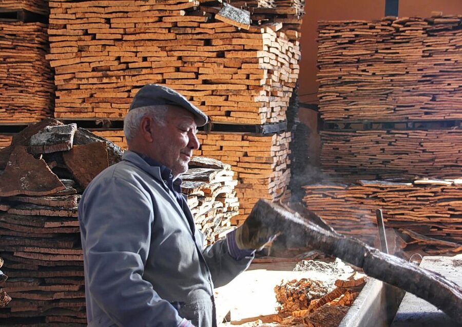 Cork Factory Tour - The introductory explanation makes the factory easier to understand