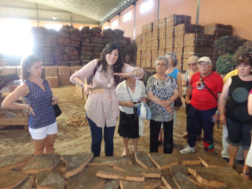 Cork Factory Tour - Inside the factory, bark becomes a usable material