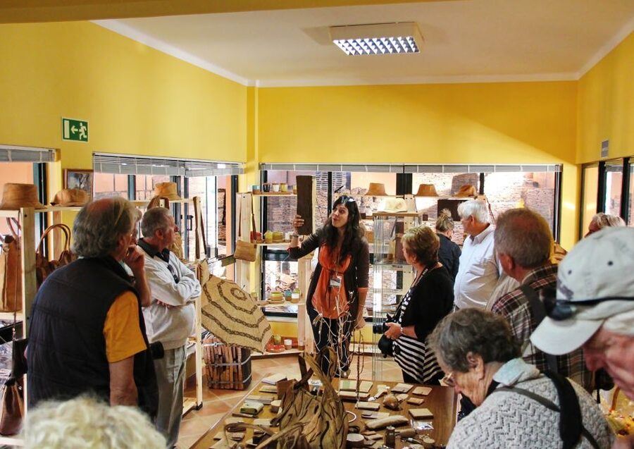 Cork Factory Tour - Should you book the Cork Factory Tour?