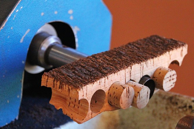 Cork Factory Tour & Cork Shop - Key points before you book