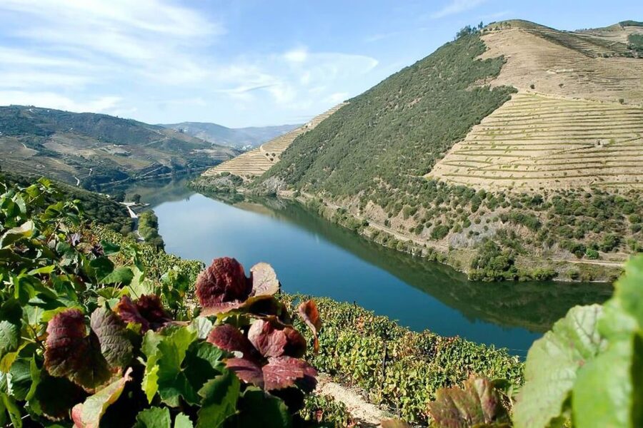 Day Cruise from Porto to Pinhão with Breakfast and Lunch - Arriving at Pinhão and visiting a wine estate