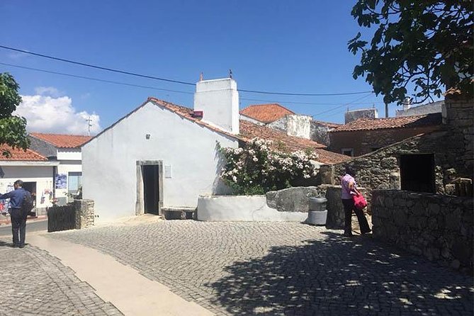 Divine Fátima Full Day Private Tour from Lisbon - Aljustrel and the homes of the three shepherd children