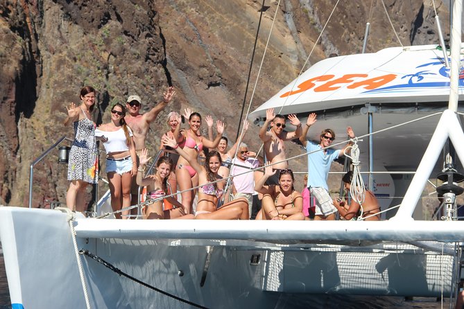 Dolphin and Whale Watching Catamaran Cruise from Funchal - What the three-hour route feels like