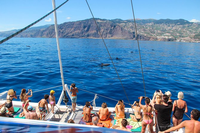 Dolphin and Whale Watching Catamaran Cruise from Funchal - Cabo Girão from sea level