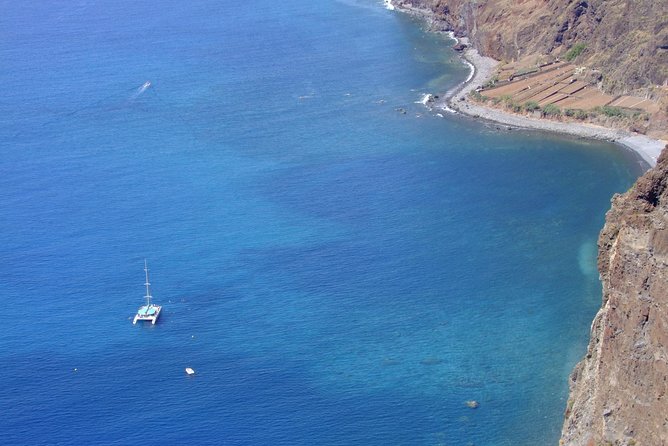 Dolphin and Whale Watching Catamaran Cruise from Funchal - My practical verdict before you book