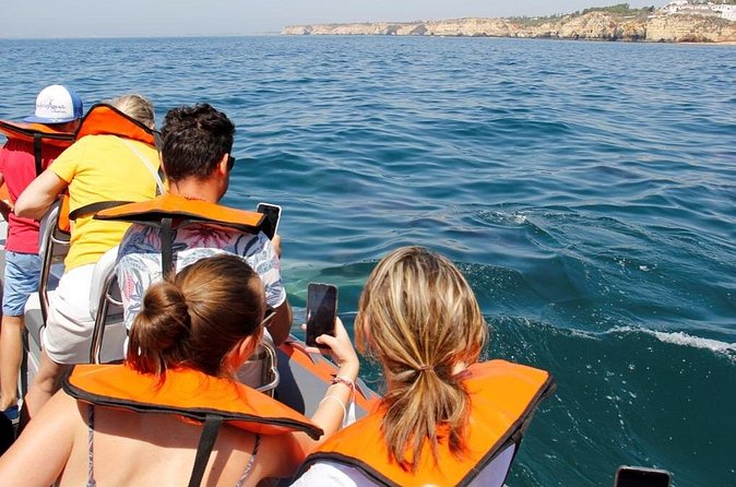 Dolphin and Whale Watching in Lagos - The dolphins you might see