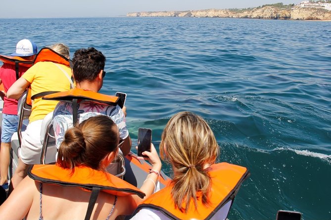 Dolphin and Whale Watching in Lagos - How the value depends on your expectations