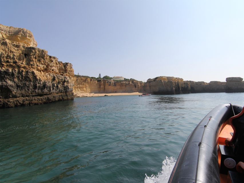 Dolphin Safari and Cave Tour in Vilamoura - Dolphins First, Caves Second
