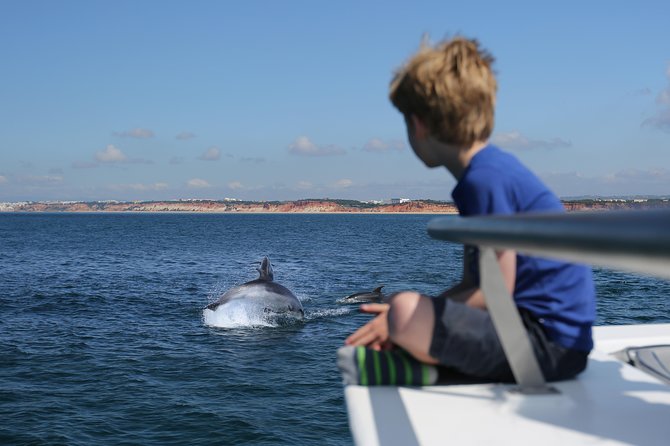 Dolphin Search - Dolphin Quest - Setting Out From the Vilamoura Area