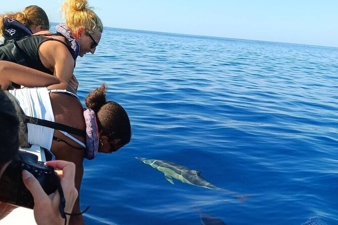 Dolphin Watching + 2 Islands Tour - From Faro - Ilha do Farol, a short stop with local character