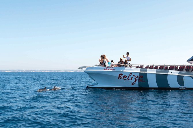 Dolphin Watching and Cave Boat Cruise from Albufeira - Key points at a glance