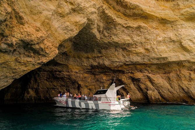 Dolphin Watching and Cave Boat Cruise from Albufeira - What this Albufeira cruise is really like