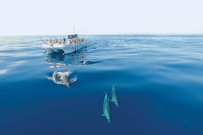 Dolphin Watching and Cave Boat Cruise from Albufeira - The boat, seating, and sea conditions
