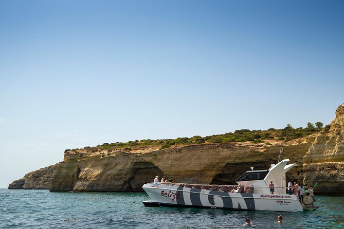 Dolphin Watching and Cave Boat Cruise from Albufeira - Who should book this trip?