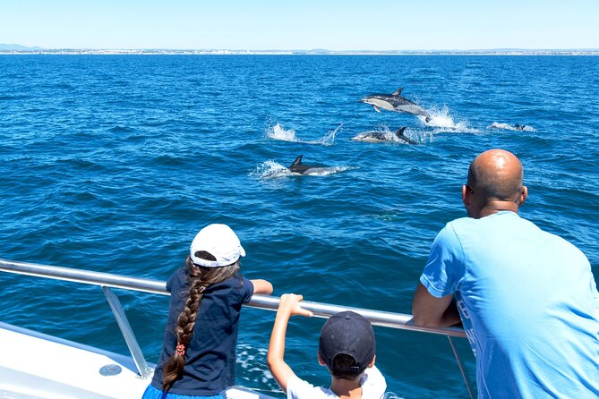 Dolphin Watching and Cave Boat Cruise from Albufeira - Searching for dolphins in open water