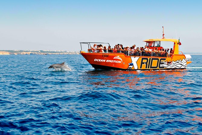 Dolphin Watching and Caves Cruise - From Albufeira Marina to the Benagil Coast