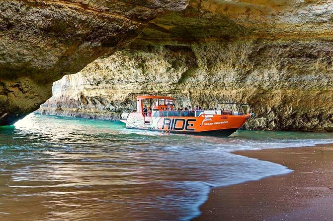 Dolphin Watching and Caves Cruise - What the Crew Adds to the Trip