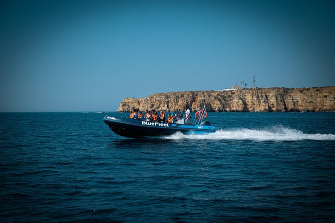 Dolphin Watching from Lagos with Marine Biologists - Watching the pod without losing sight of its wild nature