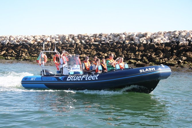 Dolphin Watching from Lagos with Marine Biologists - The return along the Algarve coast