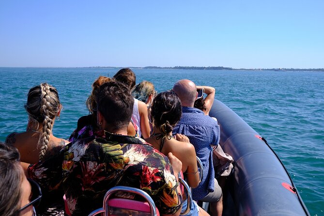 Dolphin watching in Setúbal - The dolphin search is the heart of the trip