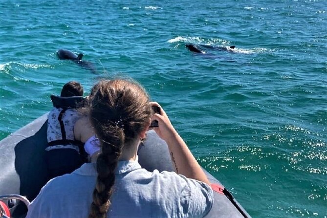 Dolphin watching in Setúbal - From Albarquel to the Outão Lighthouse