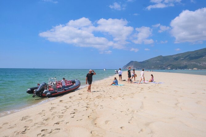 Dolphin watching in Setúbal - The crew adds value beyond spotting animals