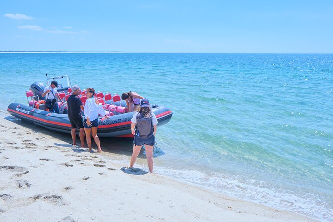 Dolphin watching in Setúbal - Is $44.76 a fair price?