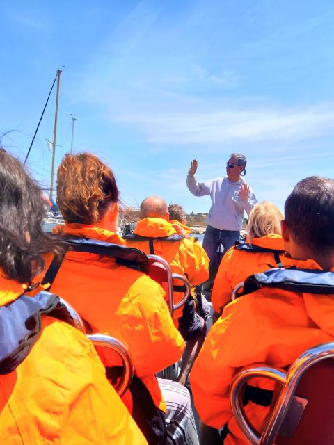 Dolphins Watching - Portimão - What to bring and how to prepare