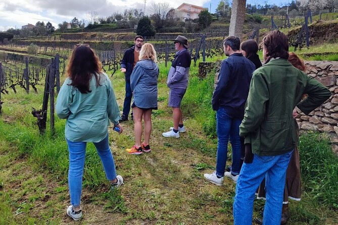 Douro Tour with Wine Tasting, River Cruise and Visit to Lamego - Leaving Porto early at Igreja da Lapa