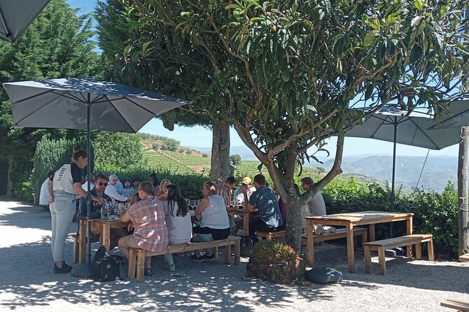 Douro Tour with Wine Tasting, River Cruise and Visit to Lamego - Practical details before you book