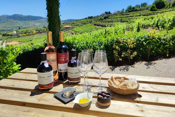 Douro Tour with Wine Tasting, River Cruise and Visit to Lamego - National Road 222 and the Douro scenery