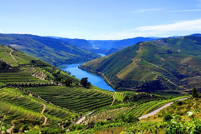 DOURO TOURS - Premium Tour - The first quinta and three DOC Douro wines