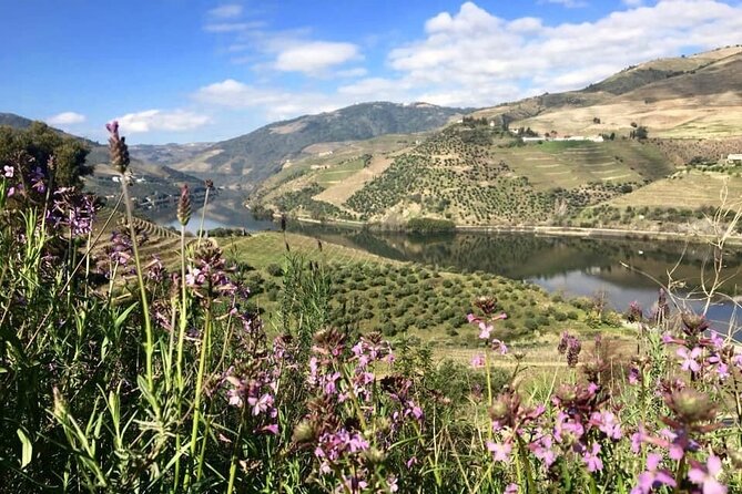 Douro Valley and Régua Panoramic Cruise with Lunch from Porto - What the $92.92 price really covers