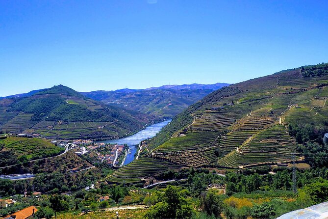 Douro Valley and Régua Panoramic Cruise with Lunch from Porto - Who should book this Douro cruise