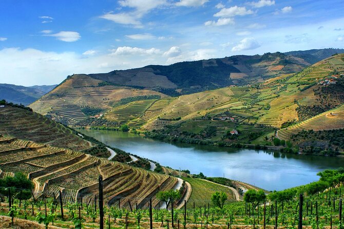 Douro Valley and Régua Panoramic Cruise with Lunch from Porto - Should you book it?