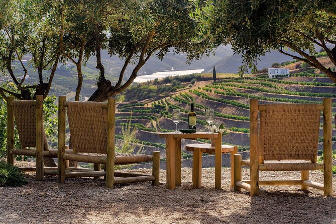 Douro Valley Best-Of Private Tour – Fully Customizable Experience - Sabrosa and the final drink with a view