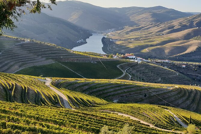 Douro Valley Best-Of Private Tour – Fully Customizable Experience - What the $249.63 price really buys