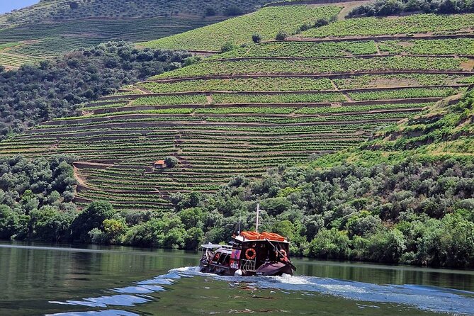 Douro Valley-Expert Guide-Boat-Lunch-Tastings-Offer wine bottle - Why This Full-Day Douro Tour Works